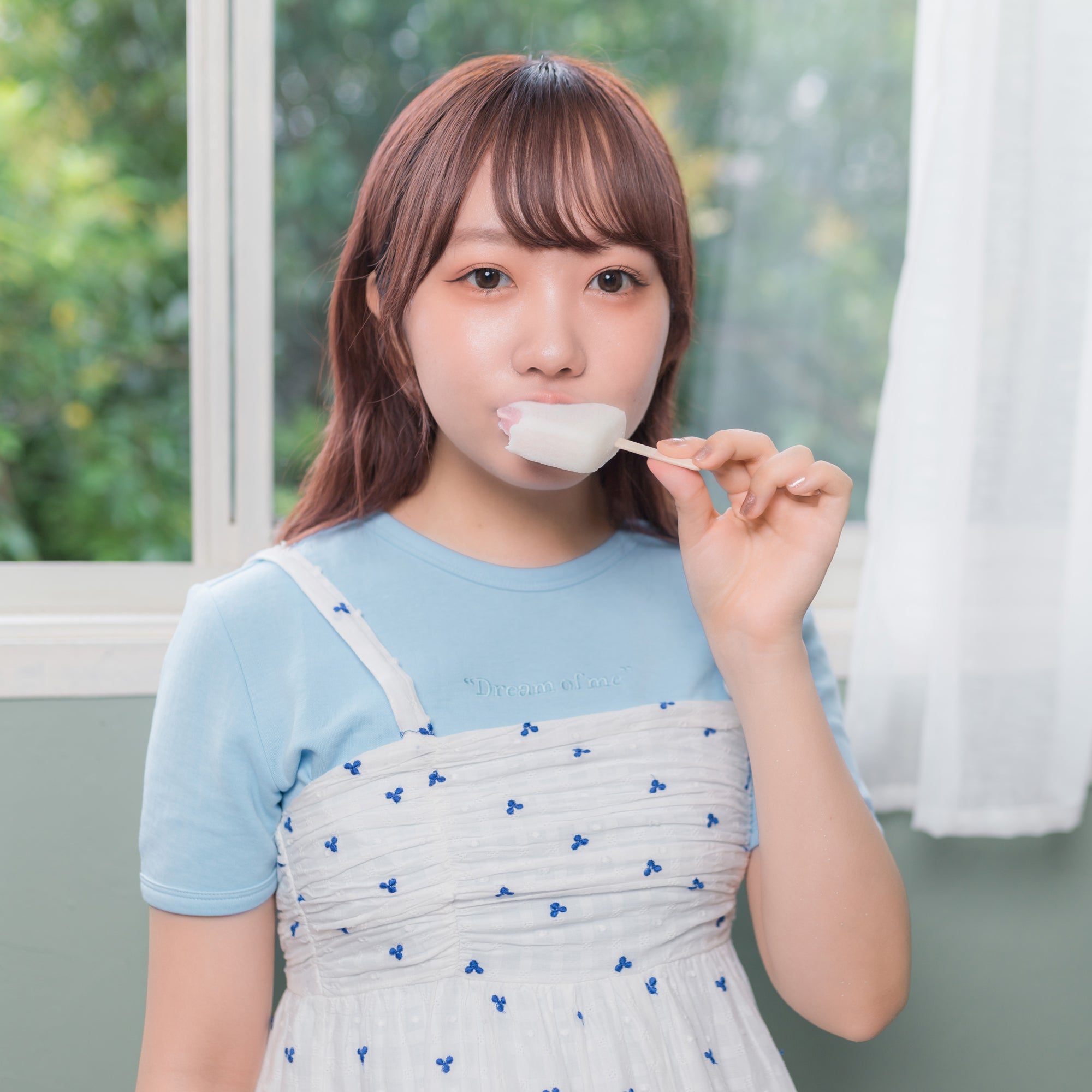 ちょむちょむ Dream of T – むくえなちっく。